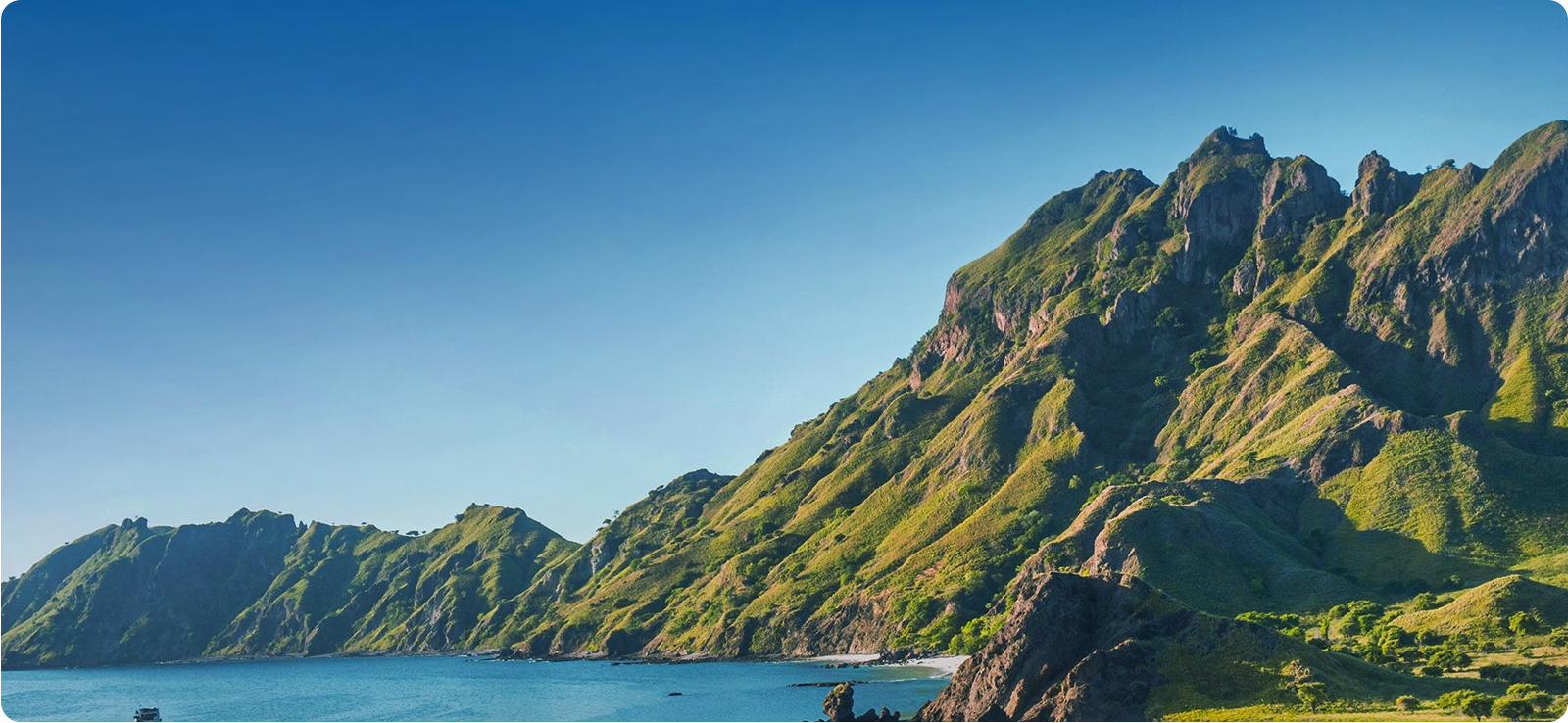 乐虎国际绿色允许及行动