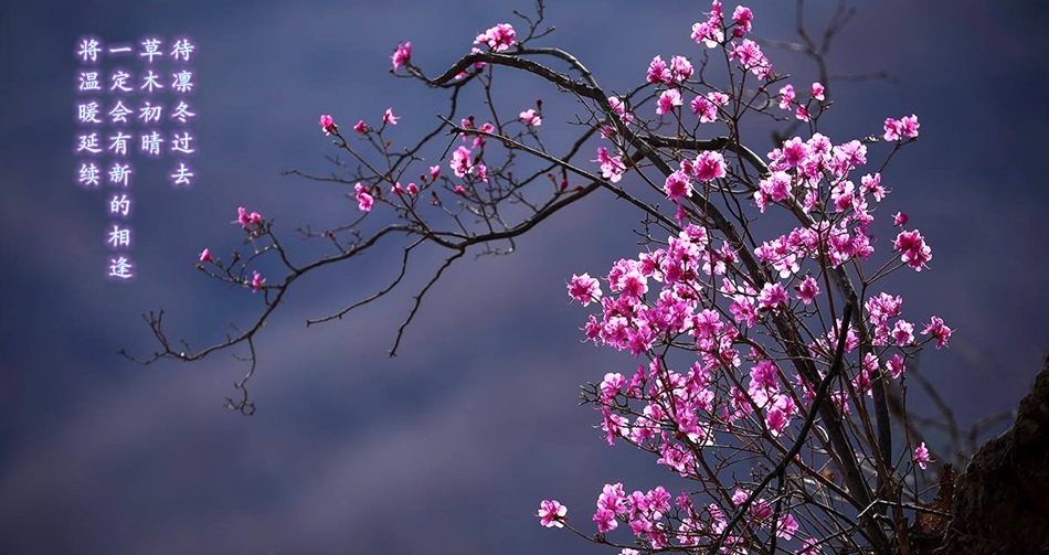 乐虎国际·lehu(中国)官方网站登录