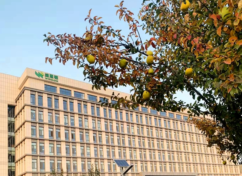 乐虎国际·lehu(中国)官方网站登录